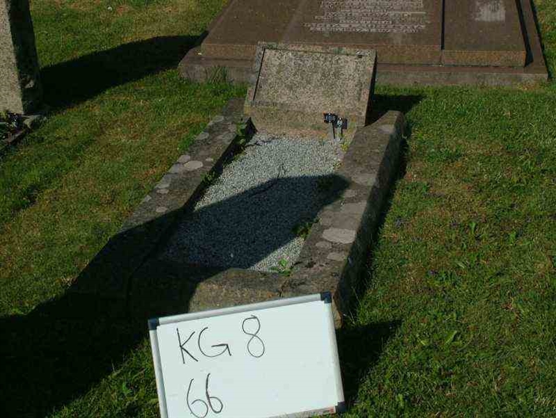 Hautatunnus: 8    66-1