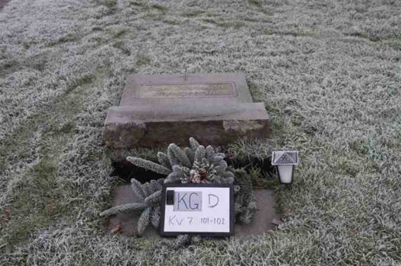 Gravnummer: 3 07   101-102