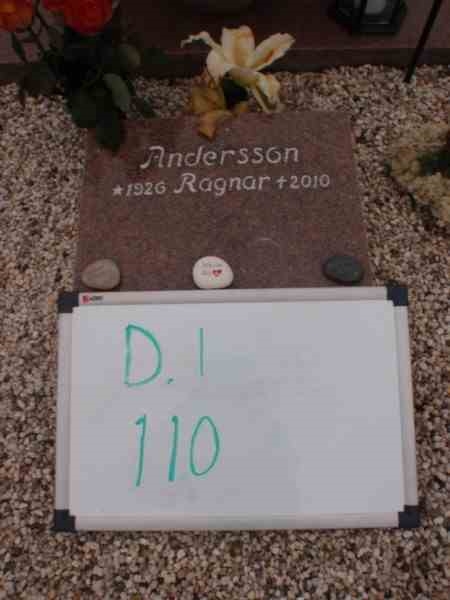 Gravnummer: 3 01   110