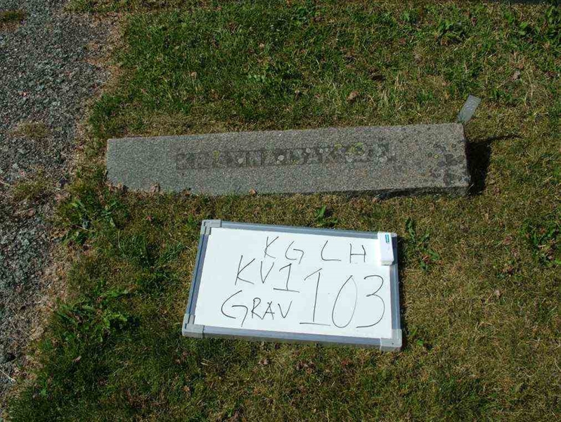 Hautatunnus: 7 02   103-1