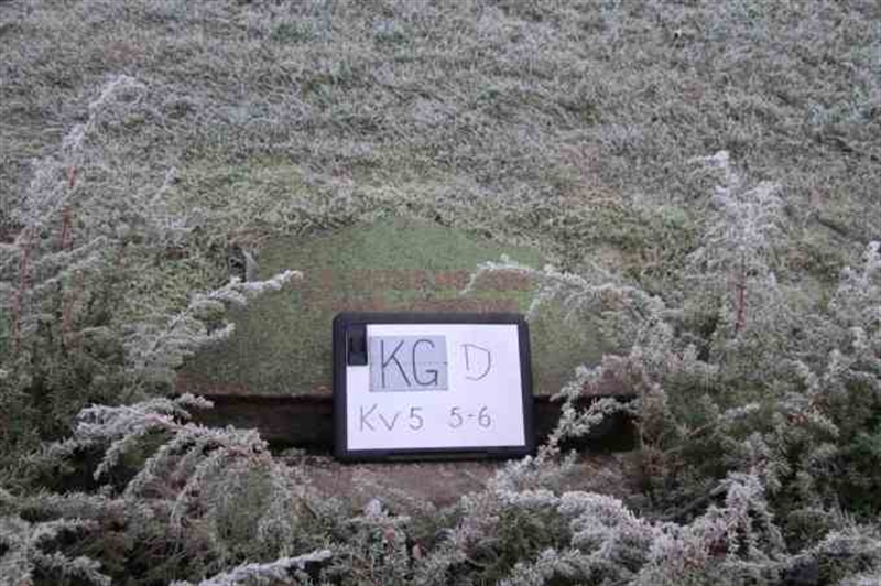 Gravnummer: 3 05     5-6