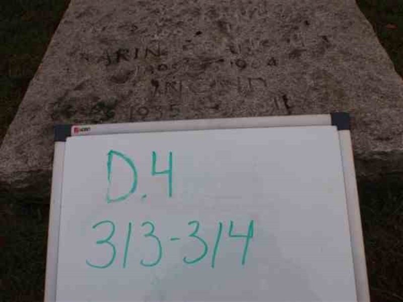 Hautatunnus: 3 04   313-314