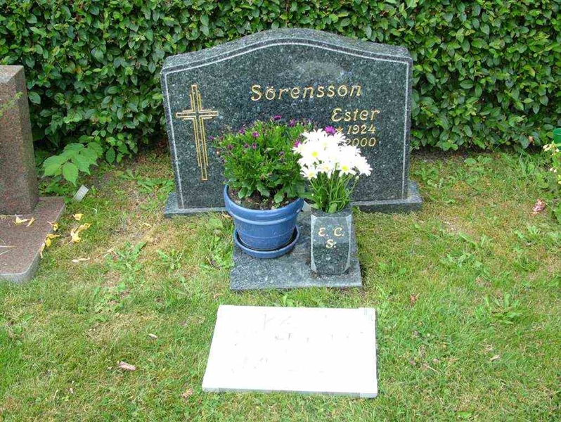 Hautatunnus: 7 09   115