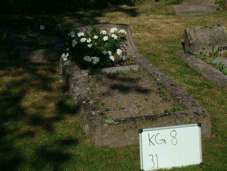 Grave number: 8    31-1