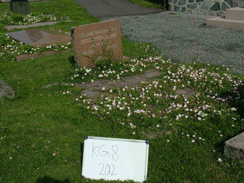 Gravnummer: 8   202-2