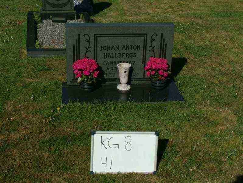 Gravnummer: 8    41-2