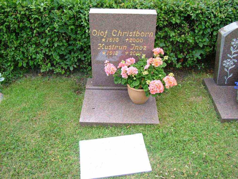 Gravnummer: 7 07    31