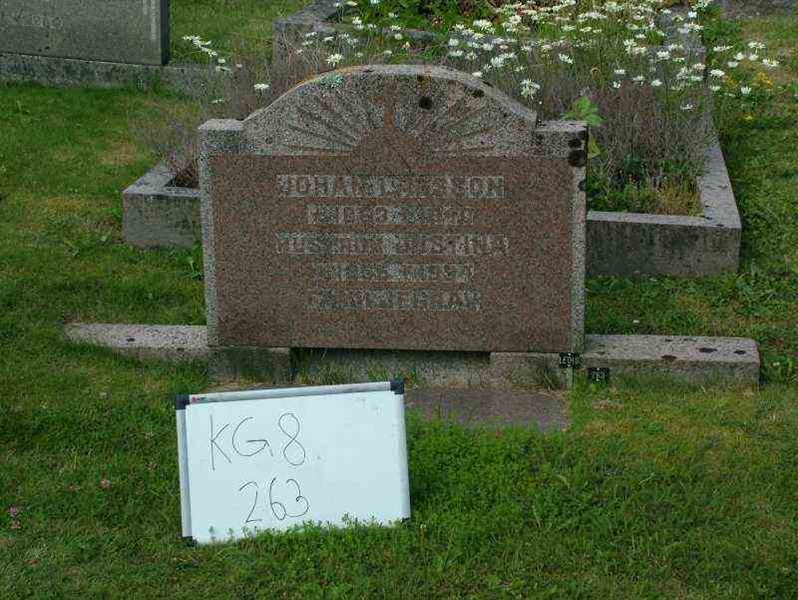 Hautatunnus: 8   263-2