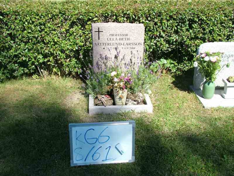 Gravnummer: 6 08    61