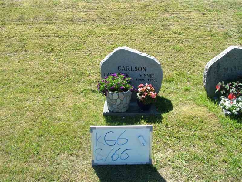 Gravnummer: 6 08    65