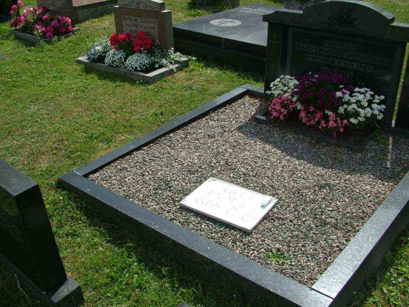 Hautatunnus: 7 04    86-2