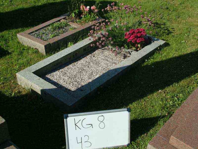 Hautatunnus: 8    43-1