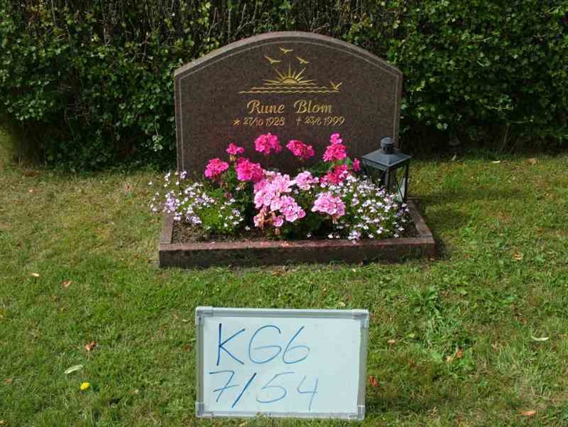 Hautatunnus: 6 07    54-2