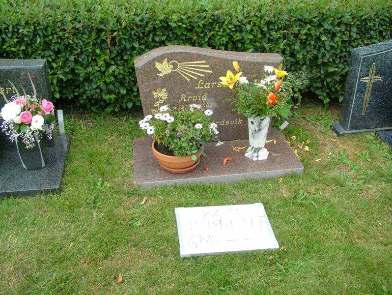 Hautatunnus: 7 09   114