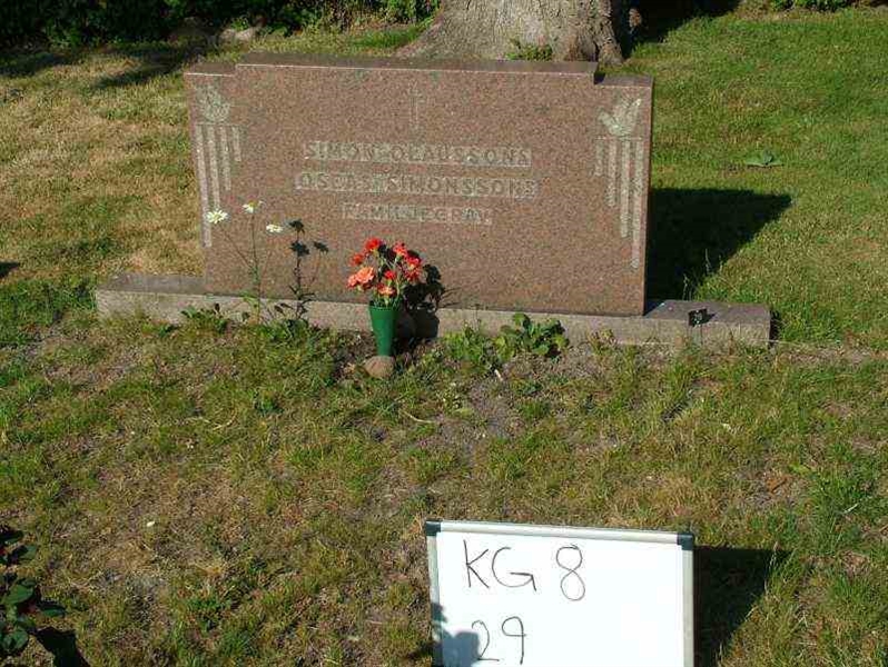 Gravnummer: 8    29-4