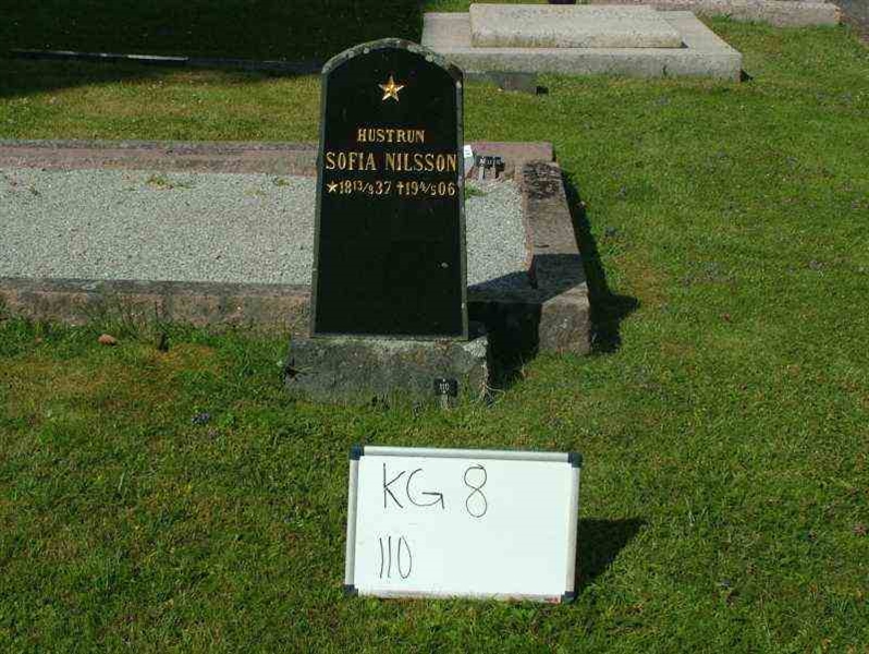 Hautatunnus: 8   110-2