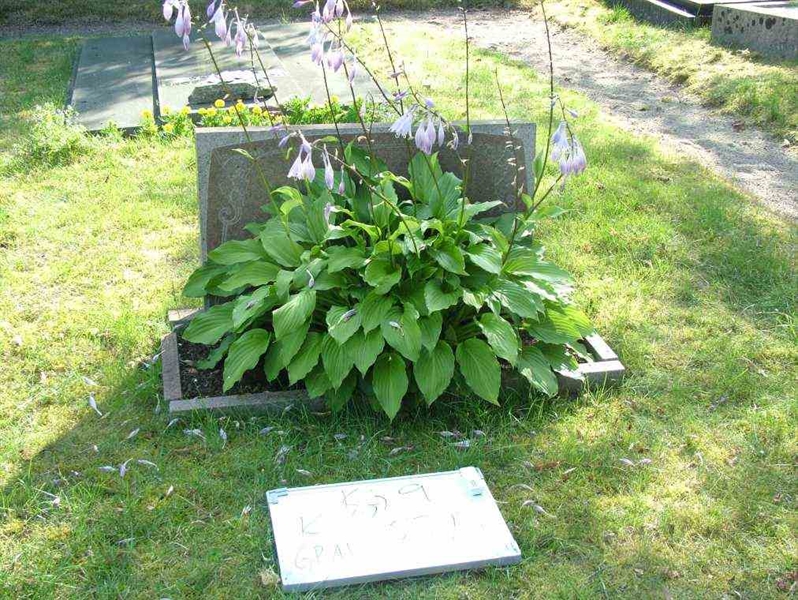 Hautatunnus: 9 02    23-24