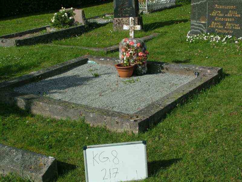 Hautatunnus: 8   217-2