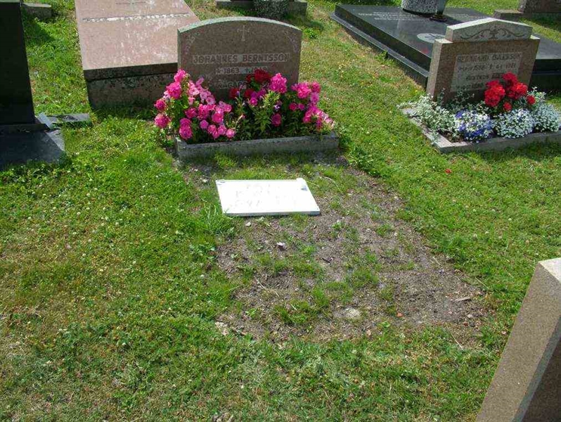 Hautatunnus: 7 04    88-1