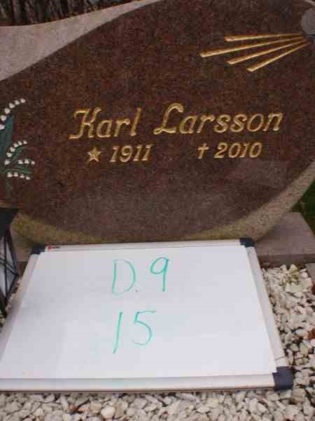 Gravnummer: 3 09    15