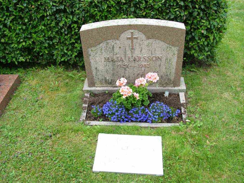 Hautatunnus: 7 09    29-1