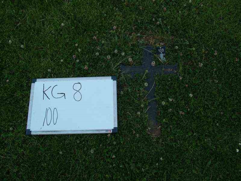 Gravnummer: 8   100-2