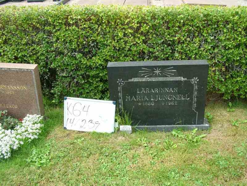 Hautatunnus: 4 14-G   239