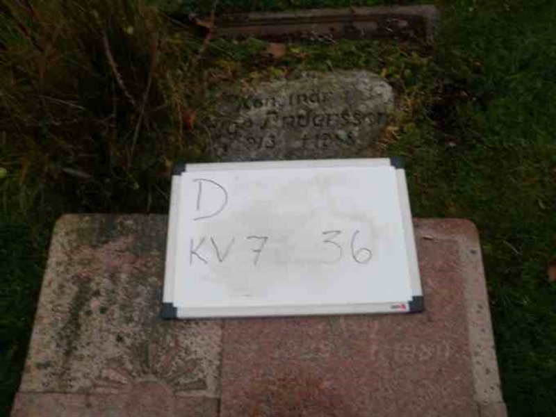 Gravnummer: 3 07    36
