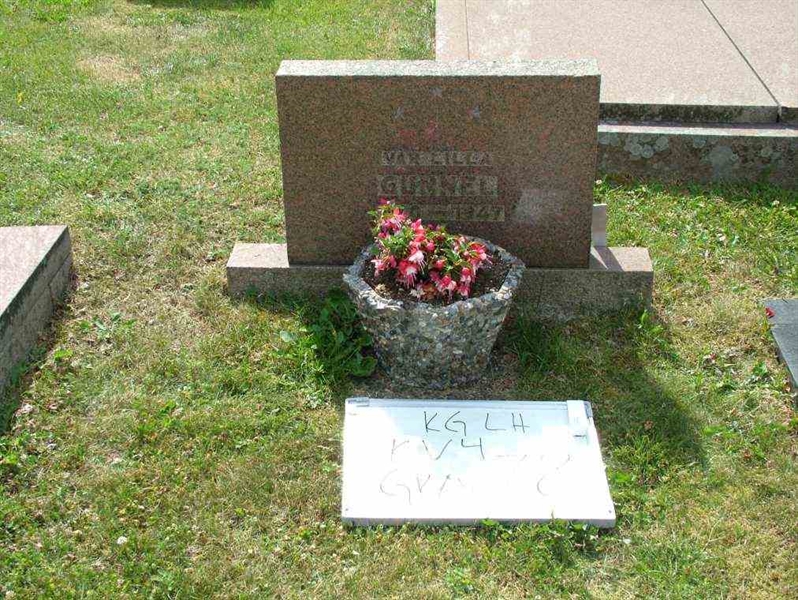 Hautatunnus: 7 04    78-1