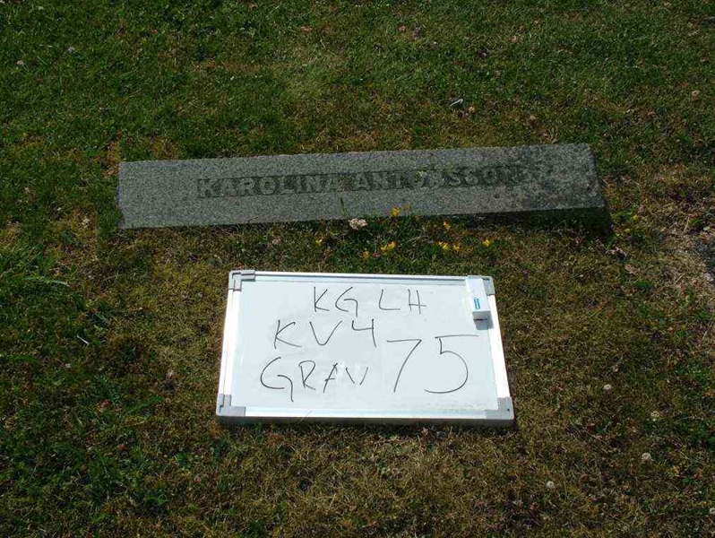 Hautatunnus: 7 04    75-1