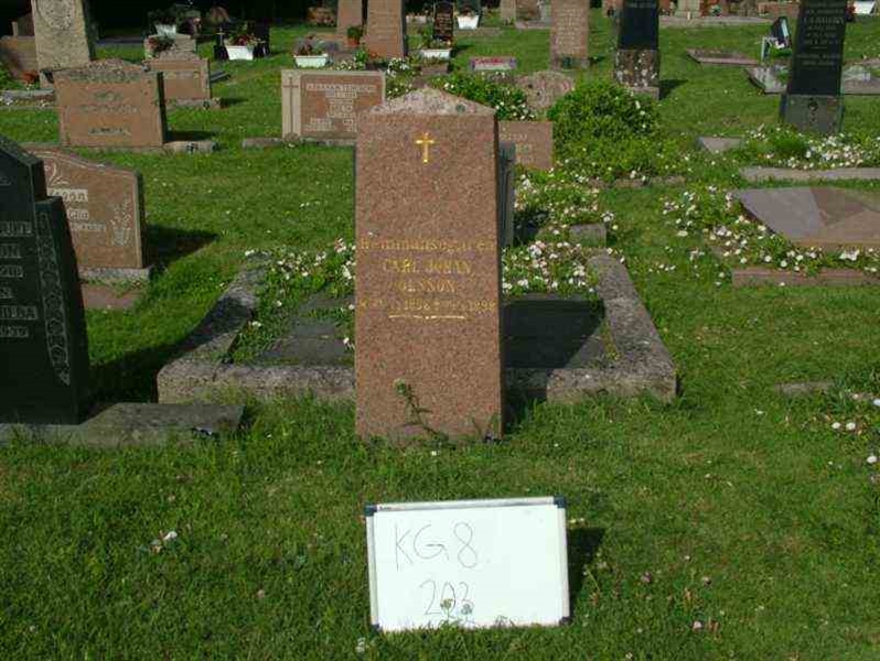 Hautatunnus: 8   203-1