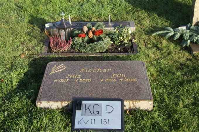 Gravnummer: 3 11   151