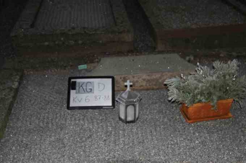 Gravnummer: 3 06    87-88