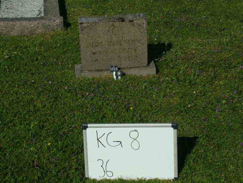 Gravnummer: 8    36-2