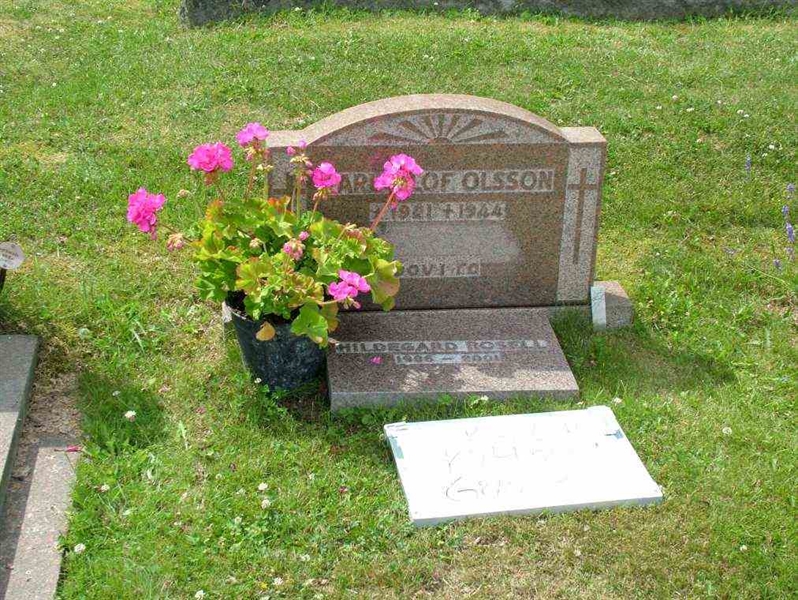 Hautatunnus: 7 04    39-1