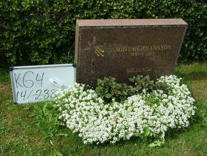 Hautatunnus: 4 14-G   238