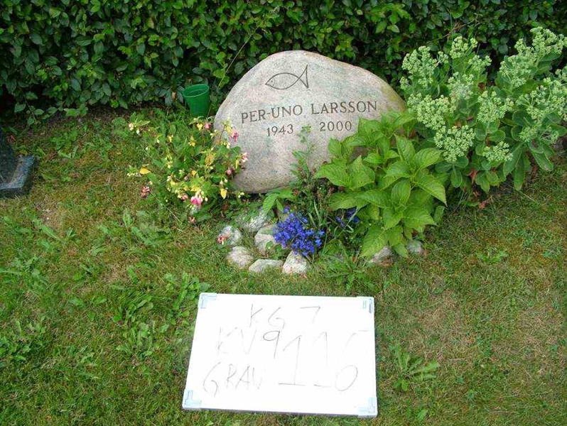 Hautatunnus: 7 09   116