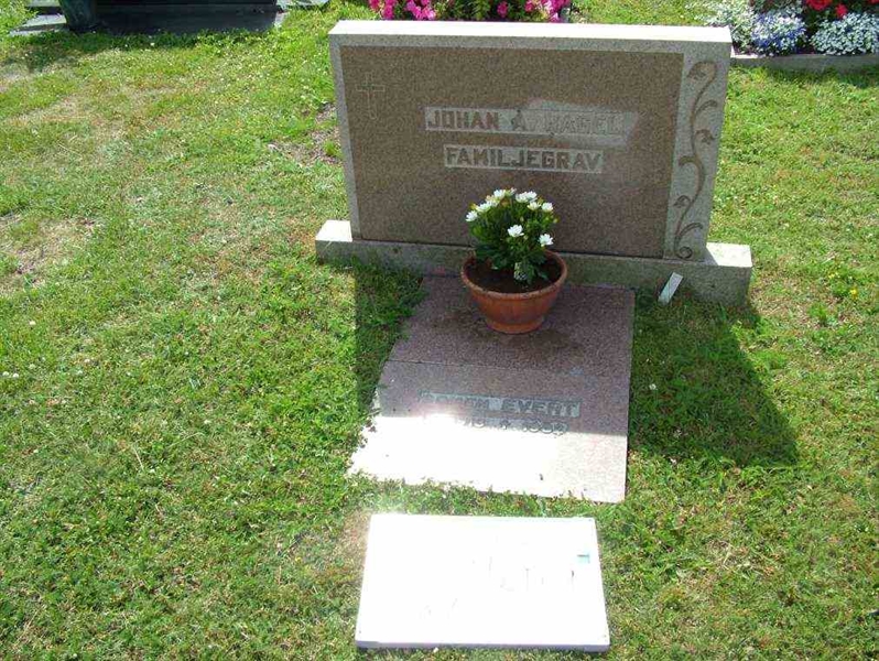 Hautatunnus: 7 04    99-2