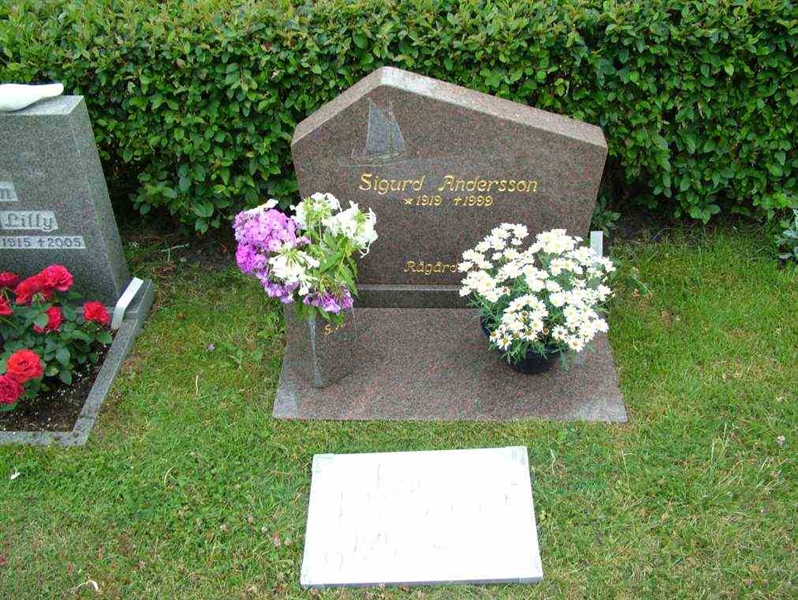 Gravnummer: 7 07    29