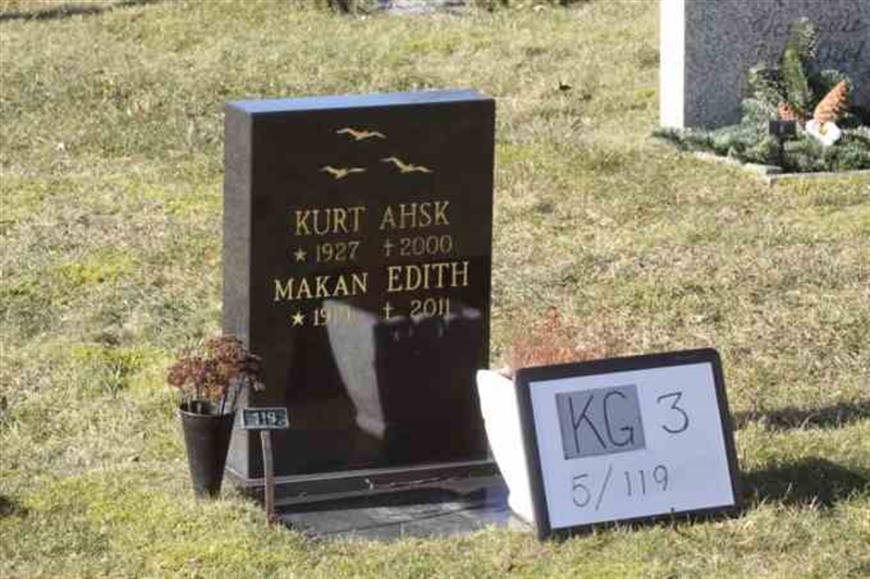 Gravnummer: 3 05   119