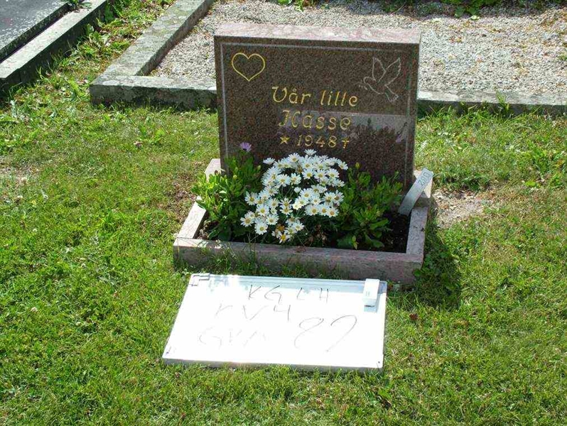 Hautatunnus: 7 04    82-2