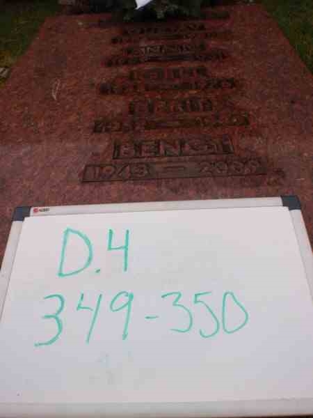 Hautatunnus: 3 04   349-350