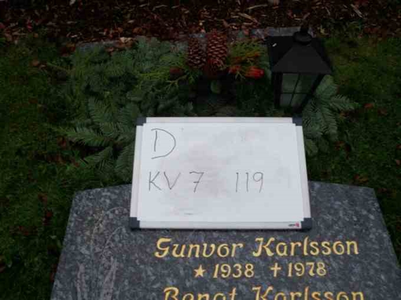 Gravnummer: 3 07   119