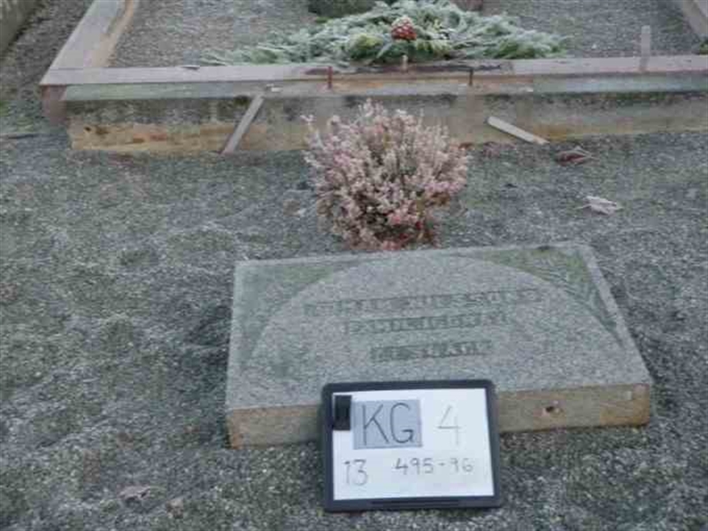 Hautatunnus: 4 13   495-496