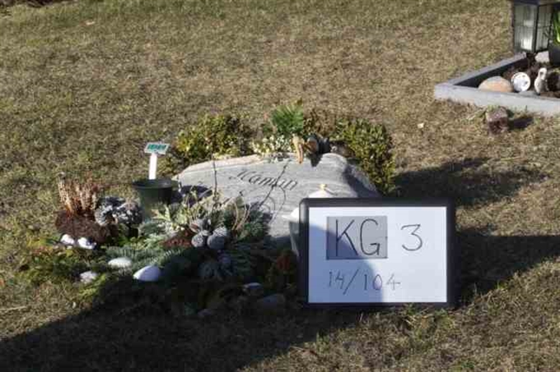 Hautatunnus: 3 14   104