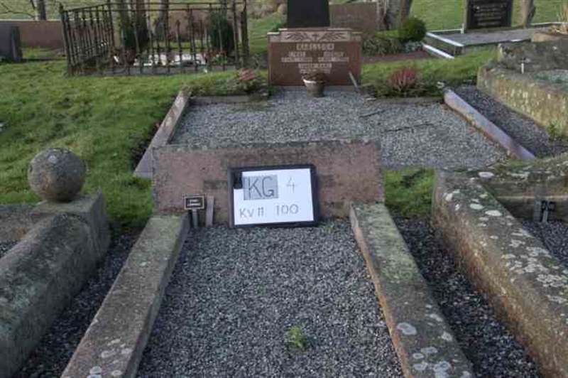 Hautatunnus: 4 11   100