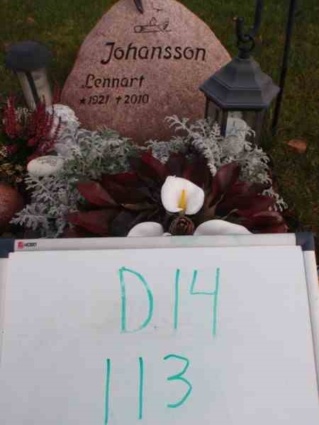 Hautatunnus: 3 14   113