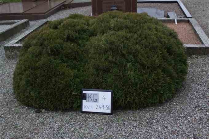 Gravnummer: 4 11   249-250