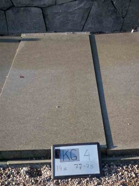 Hautatunnus: 4 14-R    77-78