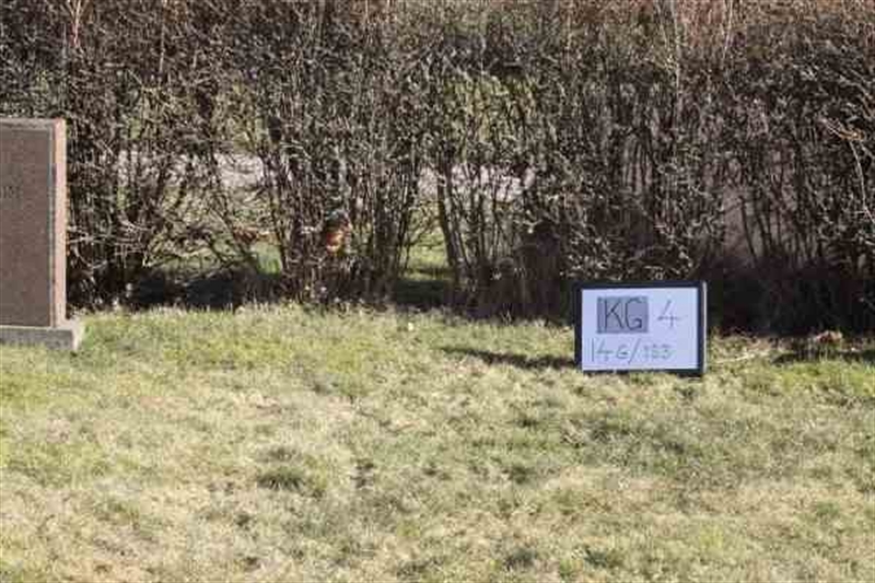 Hautatunnus: 4 14-G   183